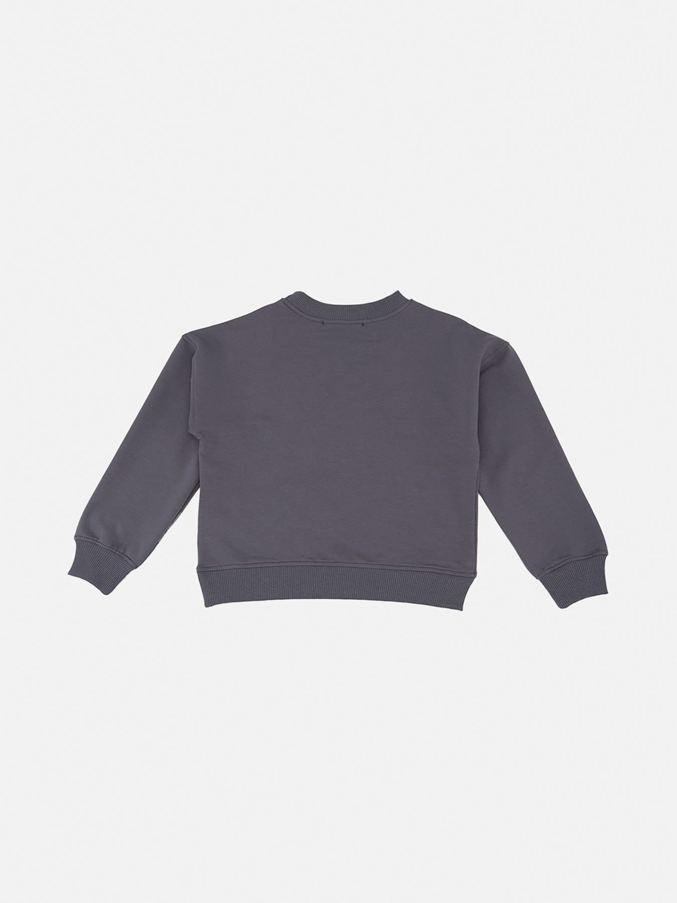 Світшот для хлопчика  колір сірий ЦБ-00290540 модель ЦБ-00290540 Фото