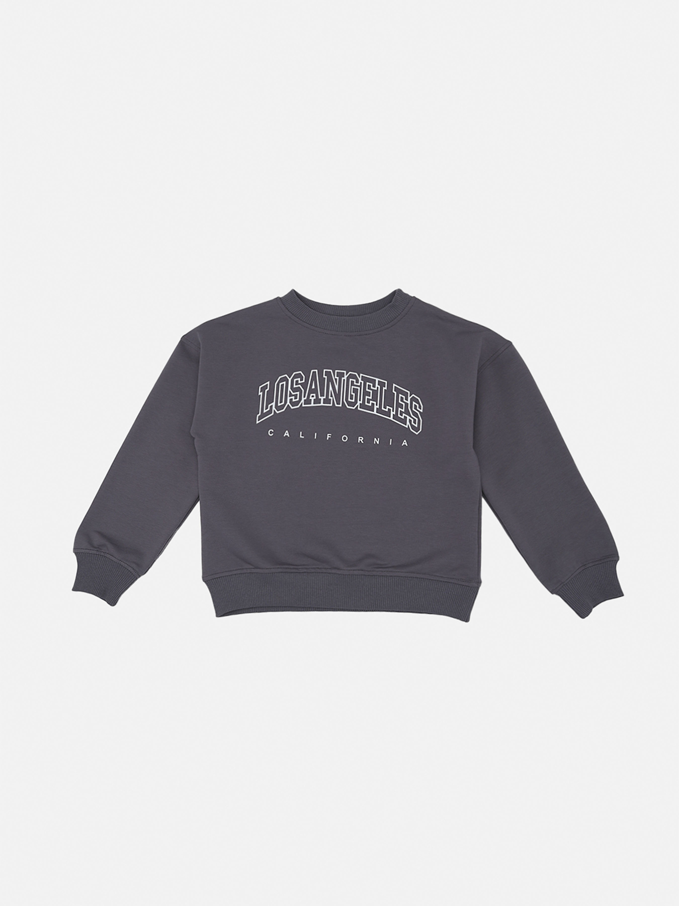 Світшот для хлопчика  колір сірий ЦБ-00290540 модель ЦБ-00290540 Фото