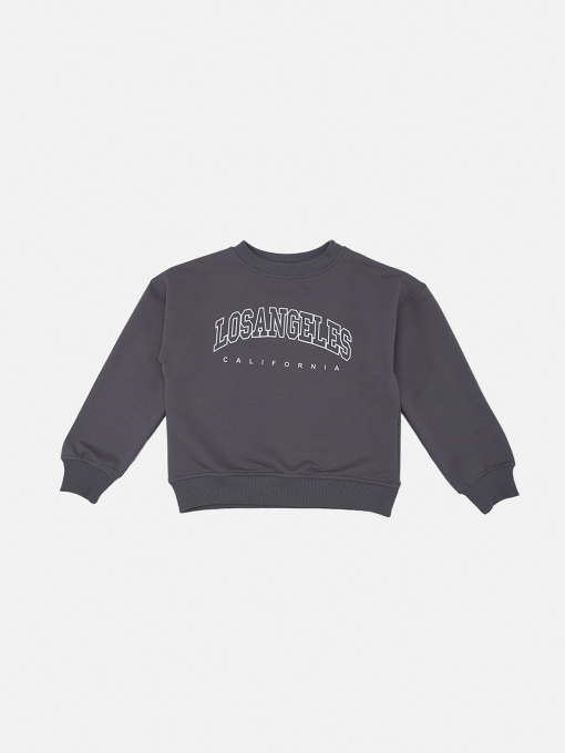 Світшот для хлопчика  колір сірий ЦБ-00290540 модель ЦБ-00290540 Фото