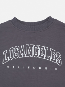 Світшот для хлопчика  колір сірий ЦБ-00290540 модель ЦБ-00290540 Фото