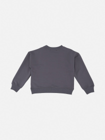 Світшот для хлопчика  колір сірий ЦБ-00290540 модель ЦБ-00290540 Фото