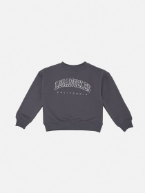 Світшот для хлопчика  колір сірий ЦБ-00290540 модель ЦБ-00290540 Фото