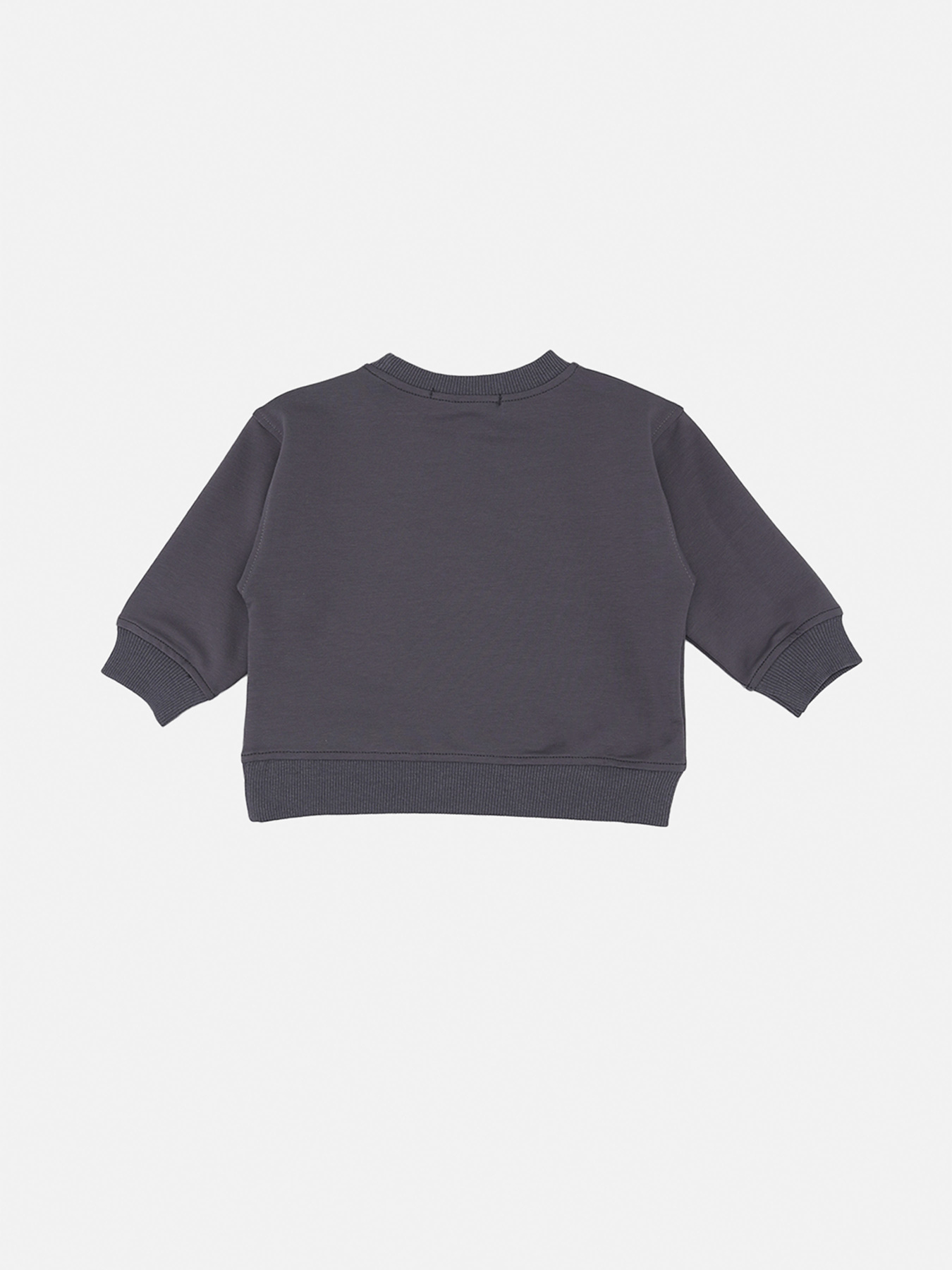 Світшот для хлопчика  колір сірий ЦБ-00290542 модель ЦБ-00290542 Фото