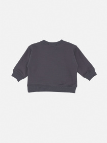 Світшот для хлопчика  колір сірий ЦБ-00290542 модель ЦБ-00290542 Фото