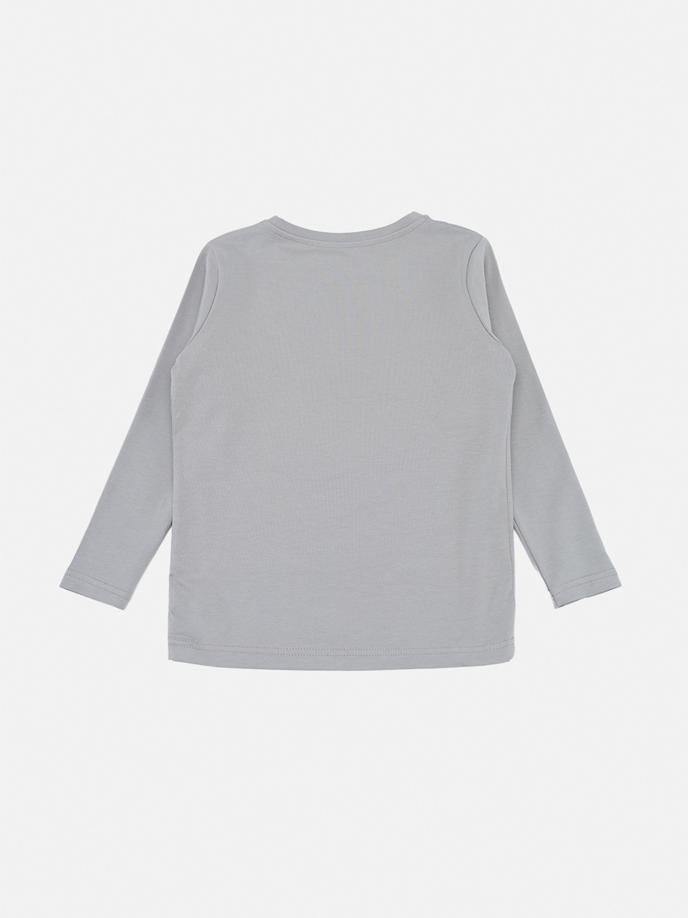 Футболка з довгим рукавом для хлопчика  колір сірий ЦБ-00290557 модель ЦБ-00290557 Фото