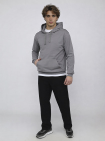 Худі чоловічий  колір сірий ЦБ-00290664 модель ЦБ-00290664 Фото