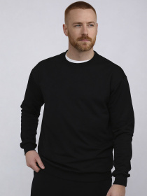 Свитшот мужской  цвет черный ЦБ-00290666 модель ЦБ-00290666 Фото