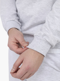 Світшот чоловічий  колір світло-сірий ЦБ-00290668 модель ЦБ-00290668 Фото