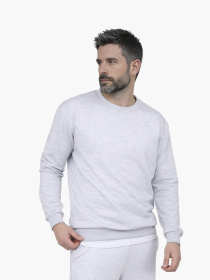 Світшот чоловічий  колір світло-сірий ЦБ-00290668 модель ЦБ-00290668 Фото