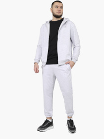 Штани спортивні чоловічі  колір світло-сірий ЦБ-00290677 модель ЦБ-00290677 Фото