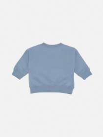 Світшот для хлопчика  колір блакитний ЦБ-00290767 модель ЦБ-00290767 Фото