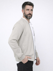 Мужская кофта на молнии  цвет серый ЦБ-00290890 модель ЦБ-00290890 Фото