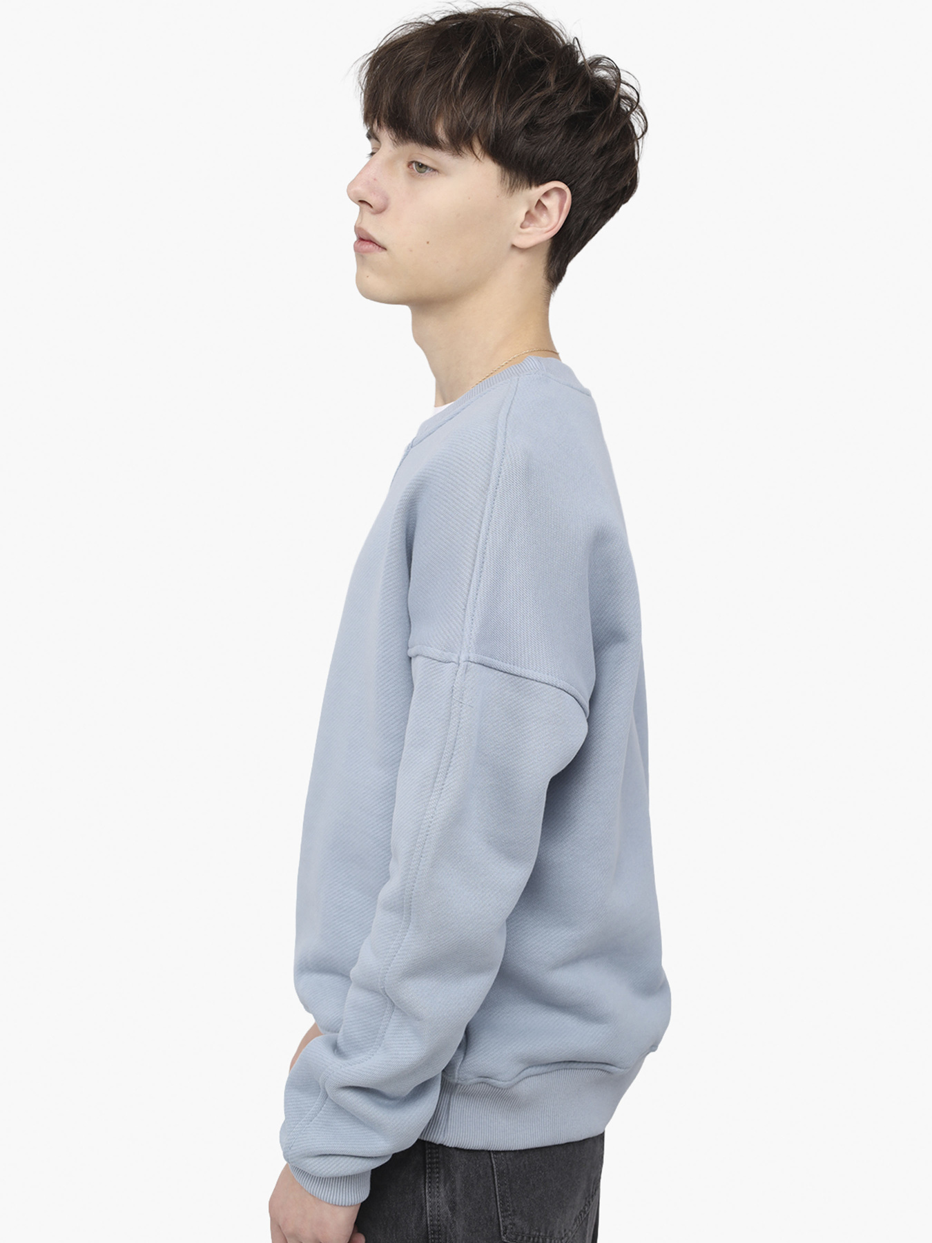 Світшот чоловічий  колір блакитний ЦБ-00291039 модель ЦБ-00291039 Фото