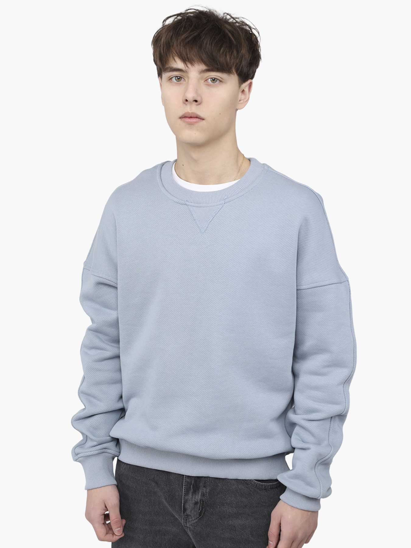 Світшот чоловічий  колір блакитний ЦБ-00291039 модель ЦБ-00291039 Фото