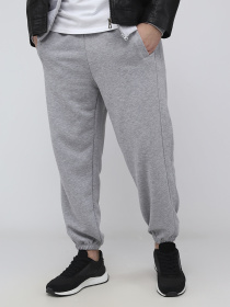 Штани спортивні чоловічі  колір світло-сірий ЦБ-00291043 модель ЦБ-00291043 Фото