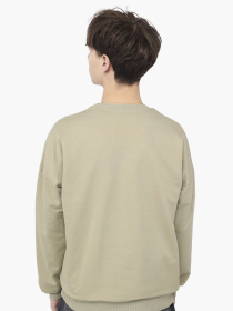 Світшот чоловічий  колір оливковий ЦБ-00292181 модель ЦБ-00292181 Фото