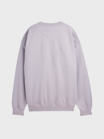 Худи и свитшоты Adidas модель KS5450 Фото