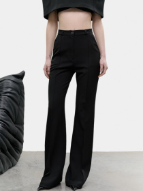 Класичні штани Blazh модель 11879 Класичні штани Blazh модель 11879 Фото