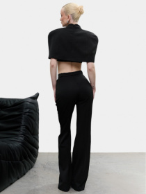 Класичні штани Blazh модель 11879 Класичні штани Blazh модель 11879 Фото