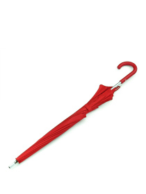 Парасолька-тростина модель L909-039618 Фото