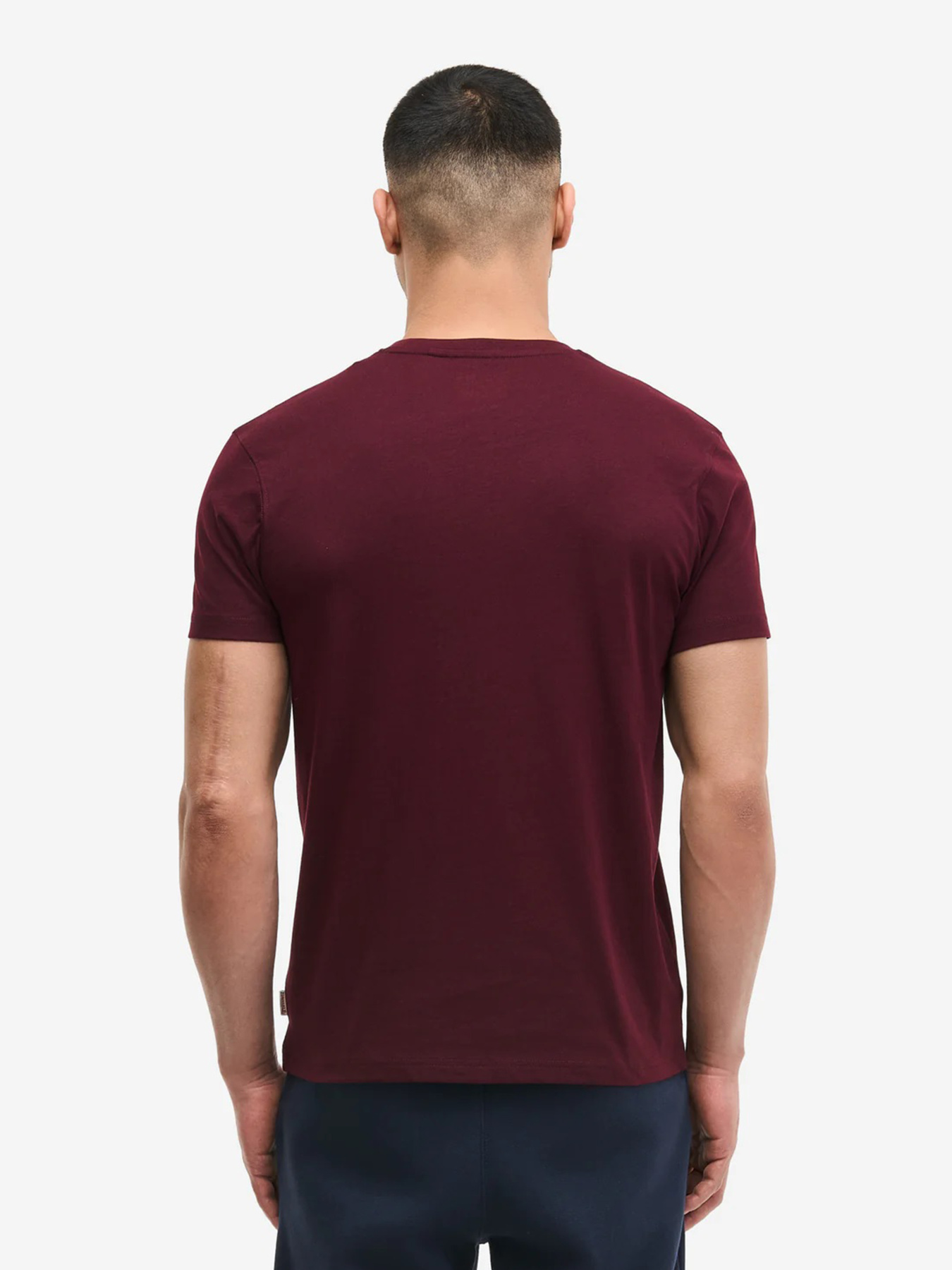 Футболка мужская модель 111132 Фото