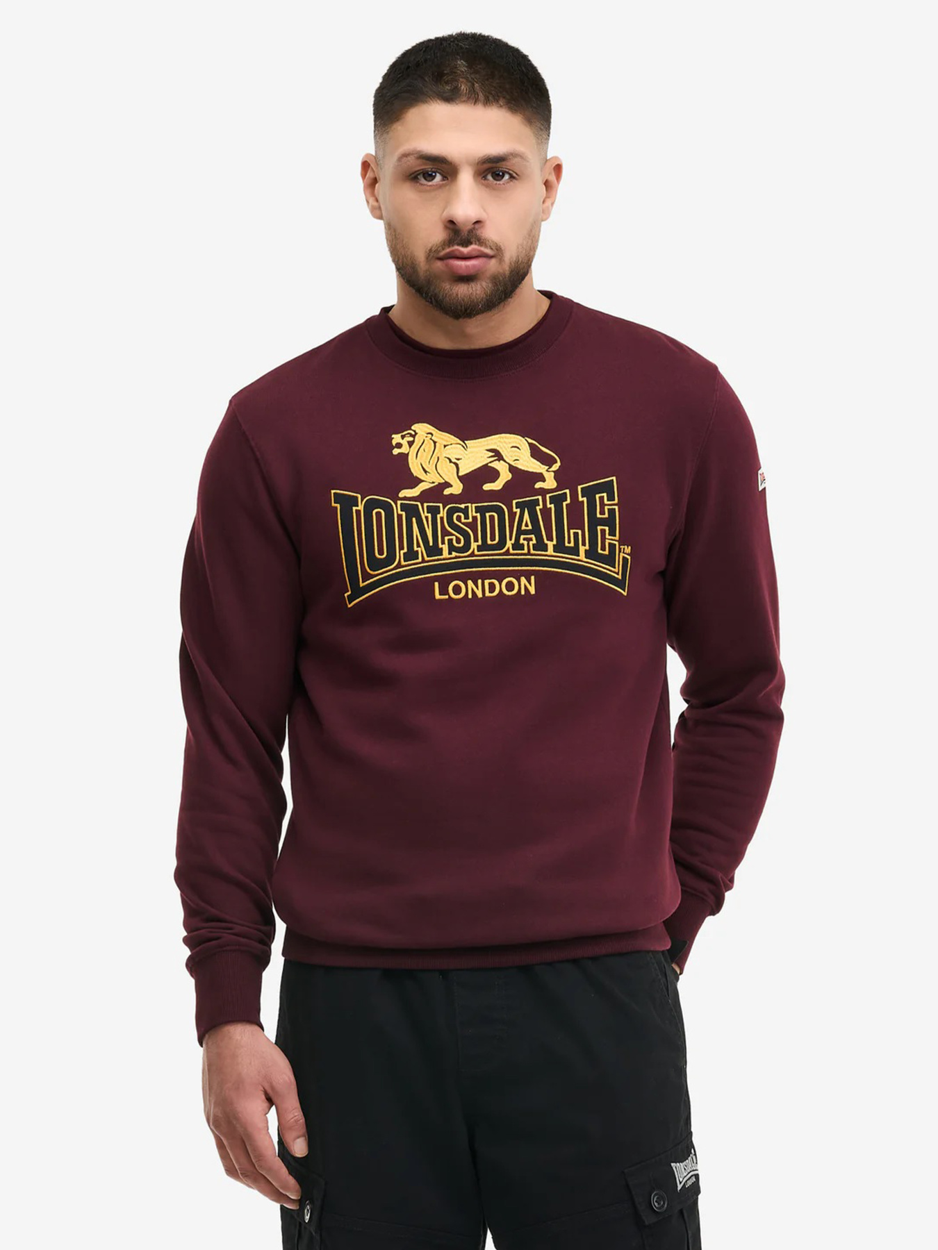 Свитшот мужской модель 117463 Фото