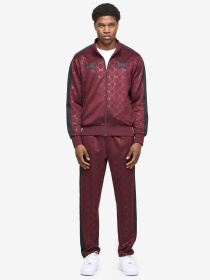 Спортивный костюм мужской модель 940023 Фото