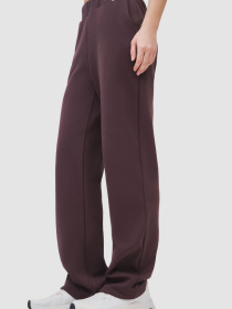 Спортивні штани AVECS модель 50608-42 Спортивні штани AVECS модель 50608-42 Фото