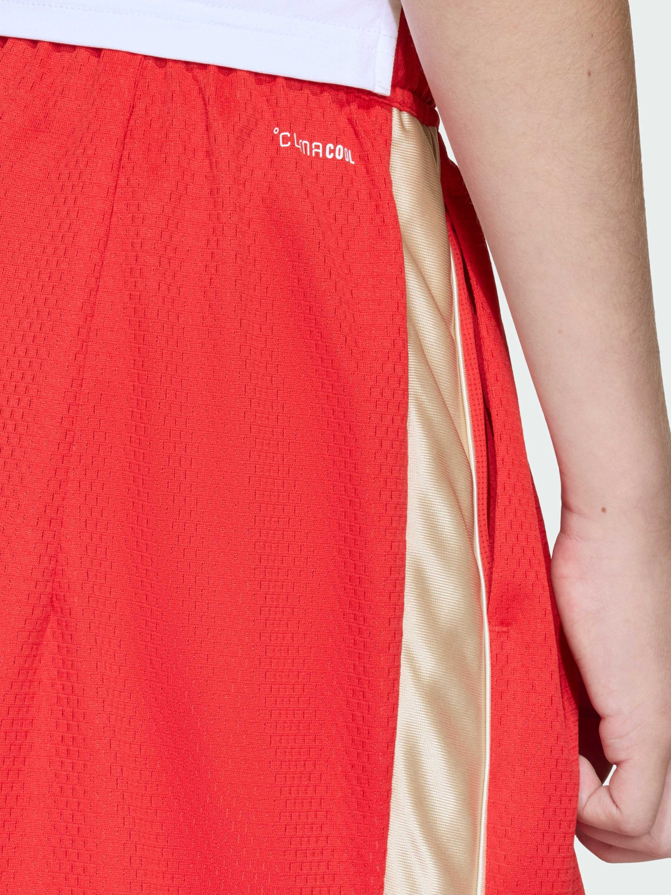 Повседневные шорты Adidas модель KD3409 Повседневные шорты Adidas модель KD3409 Фото