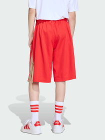 Повседневные шорты Adidas модель KD3409 Повседневные шорты Adidas модель KD3409 Фото