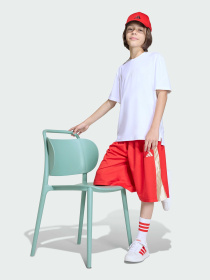 Повседневные шорты Adidas модель KD3409 Повседневные шорты Adidas модель KD3409 Фото