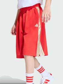 Повседневные шорты Adidas модель KD3409 Повседневные шорты Adidas модель KD3409 Фото