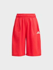 Повседневные шорты Adidas модель KD3409 Повседневные шорты Adidas модель KD3409 Фото