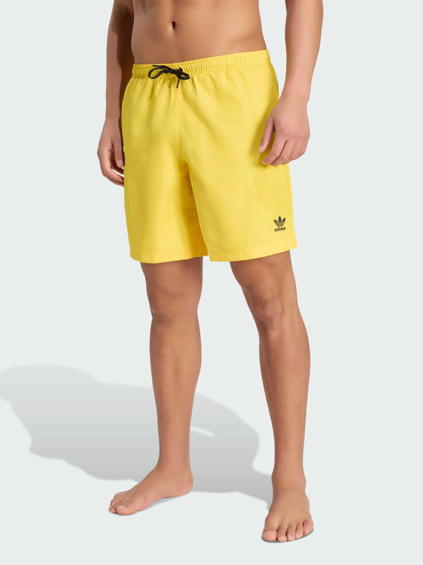 Плавательные шорты Adicolor 8-Inch модель JZ8470 Фото