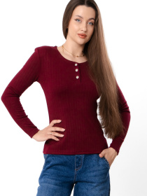 Худи и свитшоты Носи своє модель 8455-088-bordovij Фото