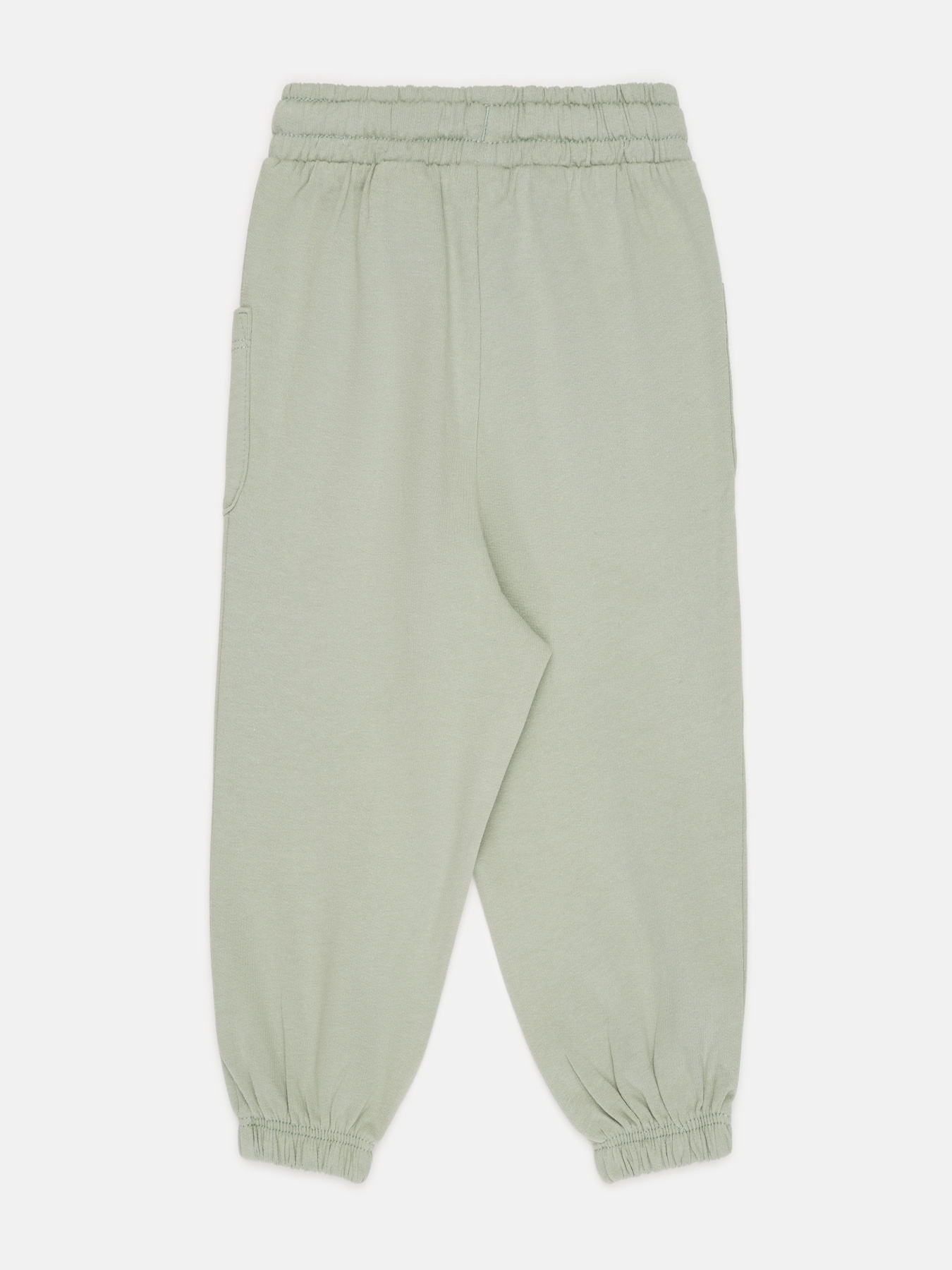 Джоггеры модель 79029 Фото