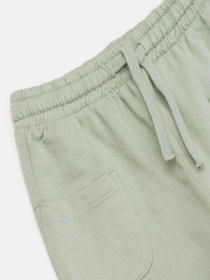 Джоггеры модель 79029 Фото