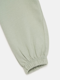 Джоггеры модель 79029 Фото