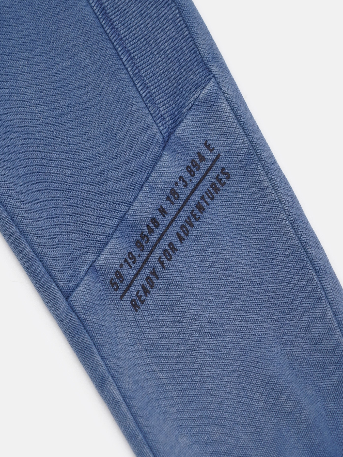 Джоггеры модель 79120 Фото