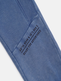 Джоггеры модель 79120 Фото