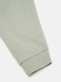 Джоггери модель 79267 Джоггери модель 79267 Фото