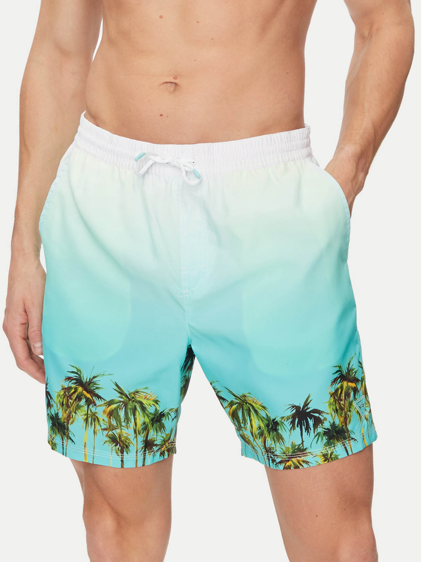 Одежда для пляжа GUESS модель F4GT18.WG2A2;P7OS Фото
