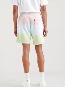 Повсякденні шорти Levi's модель A1062;0008 Фото