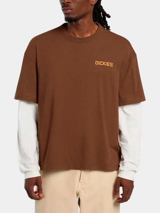 Футболки и поло Dickies модель DK0A88JF0TB1 Фото