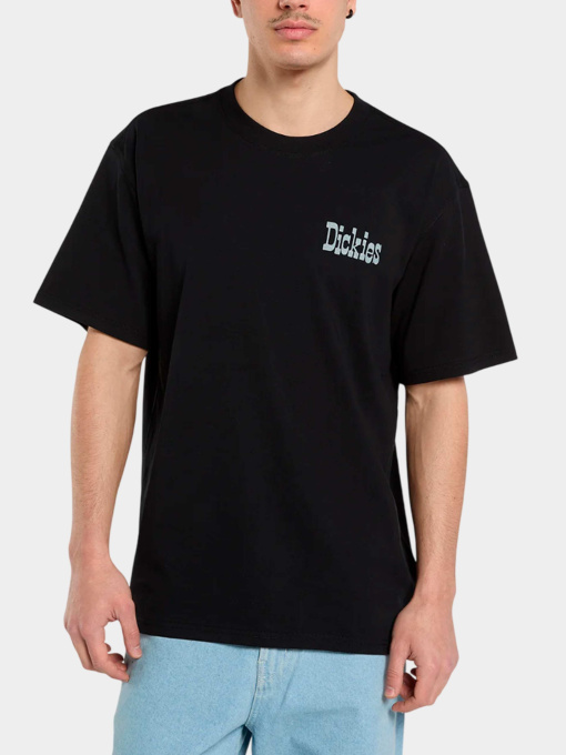 Футболки и поло Dickies модель DK0A88JVBLK1 Фото