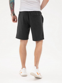 Повседневные шорты ISSA Plus модель GN-433_darkgray Повседневные шорты ISSA Plus модель GN-433_darkgray Фото