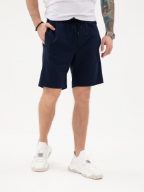 Повседневные шорты ISSA Plus модель GN-433_blue Повседневные шорты ISSA Plus модель GN-433_blue Фото