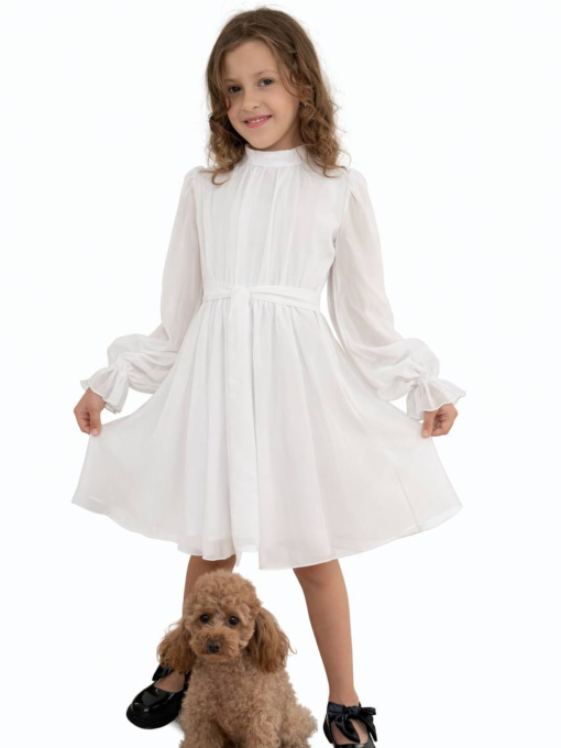 Дитяча святкова сукня «Ніколь» з коміром-стійкою, Білий Denchik (dn-7348) модель dn-7348-blij Фото