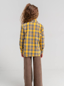 Рубашки Denchik модель dn-8578-1-zhovtij Фото