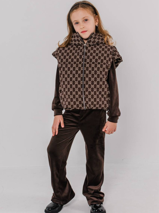 Дитяча жилетка для дівчинки з капюшоном «Саманта», Коричневий Denchik (dn-8468) модель dn-8468-korichnevij Фото